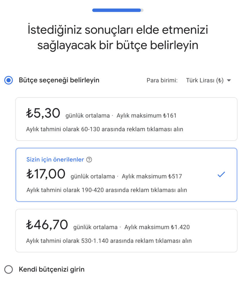 Google Ads Bütçe Ayarlama